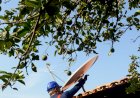 Trairão é uma das cidades beneficiadas com nova parabólica gratuita do Programa Brasil Antenado