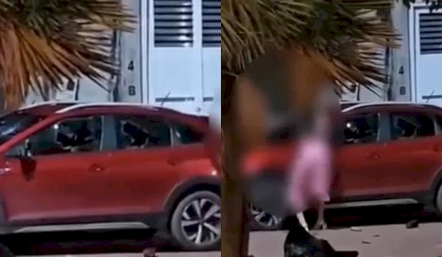 VÍDEO: mulher provoca ‘quebra-quebra’ no carro do marido após suposta traição em Itaituba
